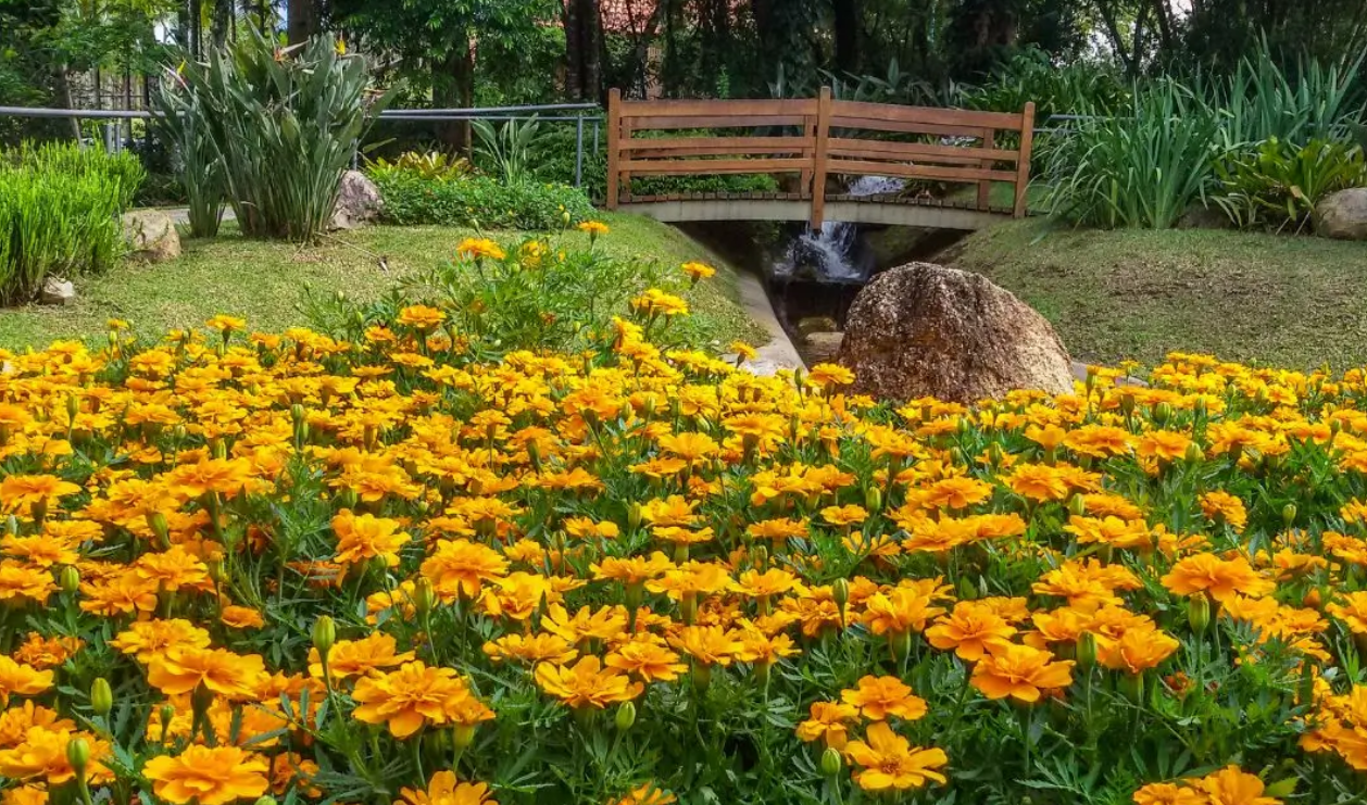 guianomade-jardim botanico 12