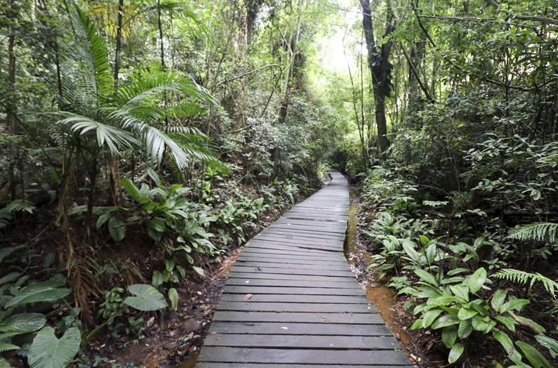 Guia Nomade Bosque Zaninelli 3