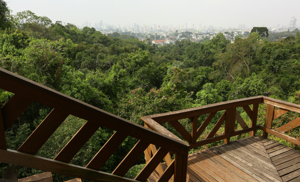 Guia Nomade Bosque alemão 4