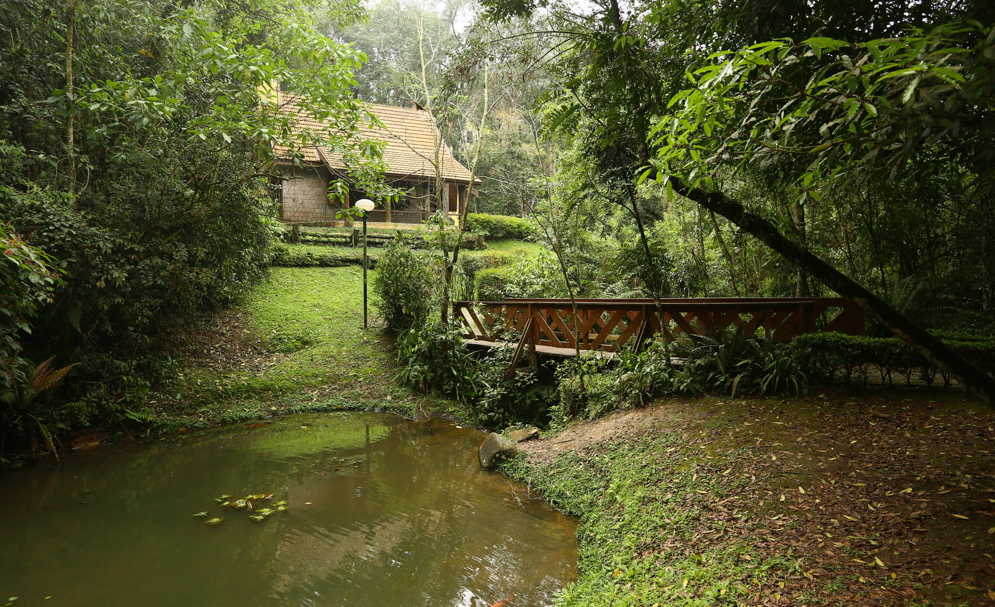 Guia Nomade Bosque alemão 5