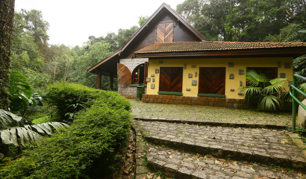 Guia Nomade Bosque alemão 6