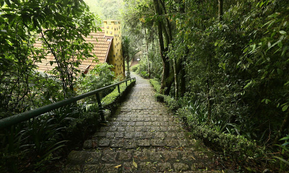 Guia Nomade Bosque alemão 7