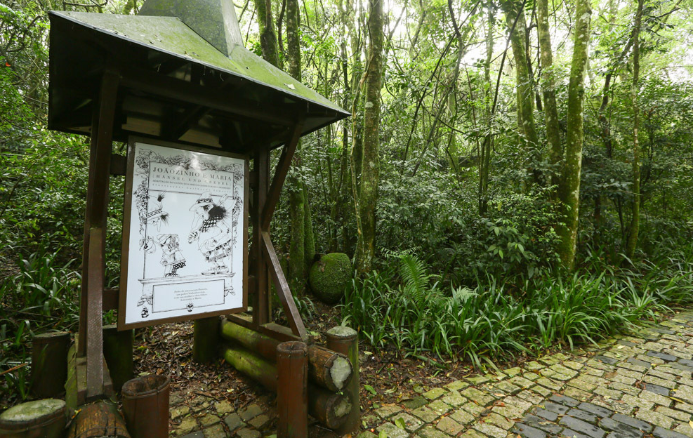 Guia Nomade Bosque alemão 8