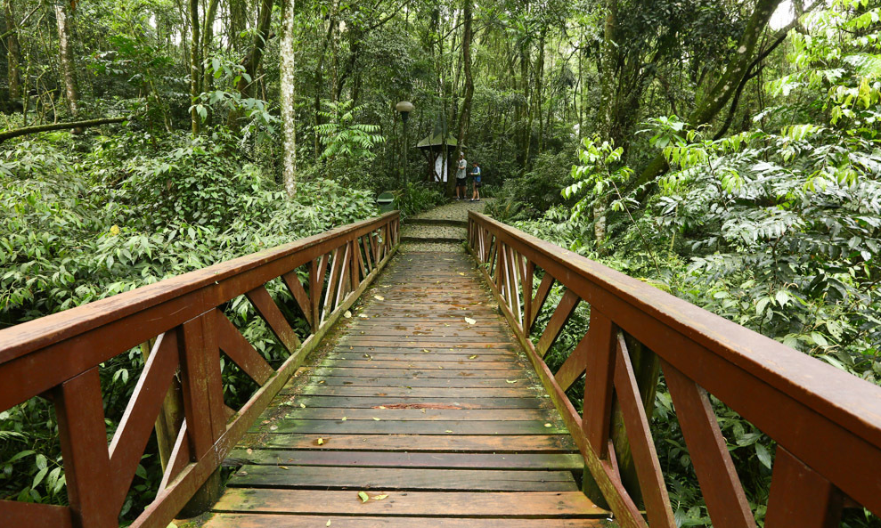Guia Nomade Bosque alemão 9