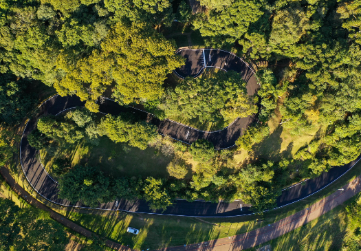 Guia Nomade Parque são lourençe Curitiba 7