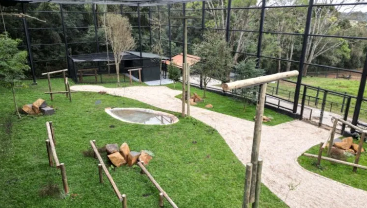 Guia Nomade Zoológico Curitiba 2