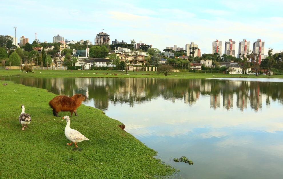 Guia nomade parque barigui 1