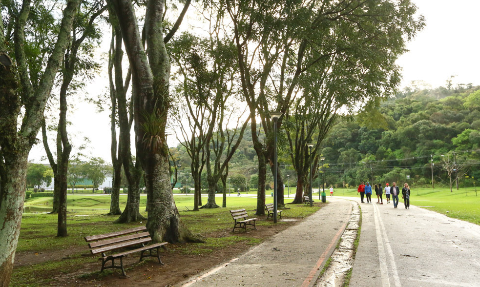 Guia nomade parque barigui 3
