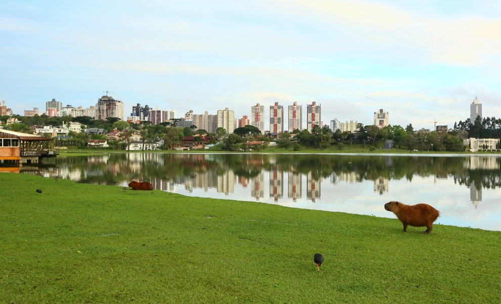 Guia nomade parque barigui 5